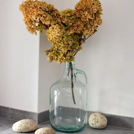 Rezidence Valcha Appartamento *