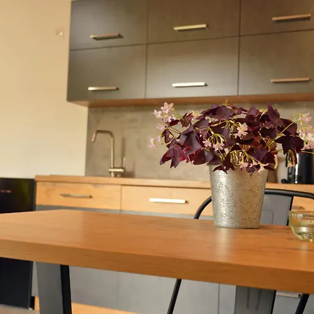 Apartment Rezidence Valcha Susice