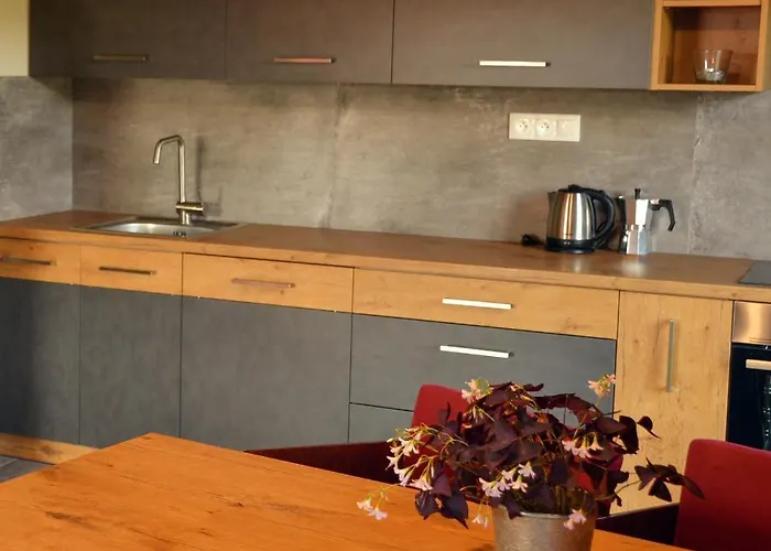 Apartment Rezidence Valcha *